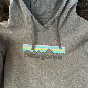 Patagonia Heather Gray Hoodie with Vibrant Logo